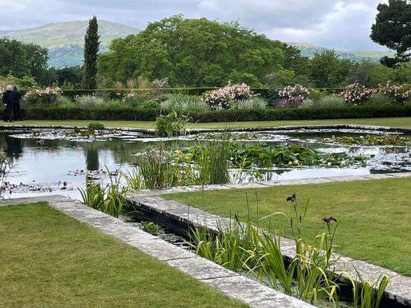 A pond just off the Terraces
