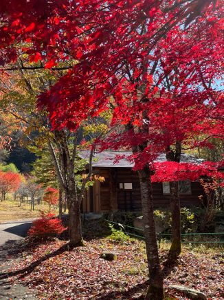 Great color!