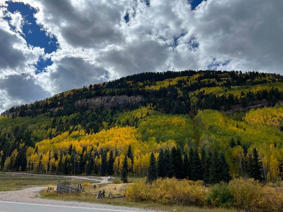 The fall colors were perfect in Colorado.