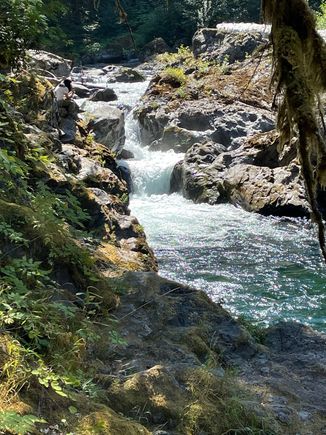 And they are off, into the wild river ride.