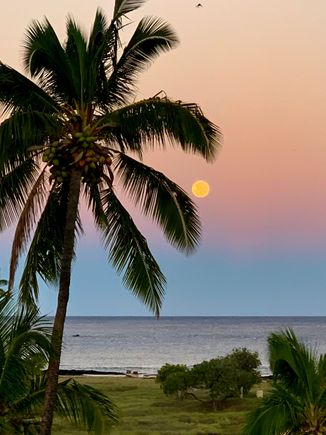 The harvest moon!