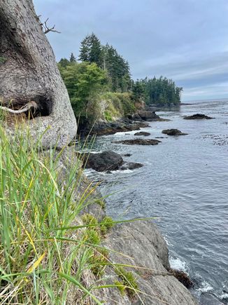 Another view from our hike.