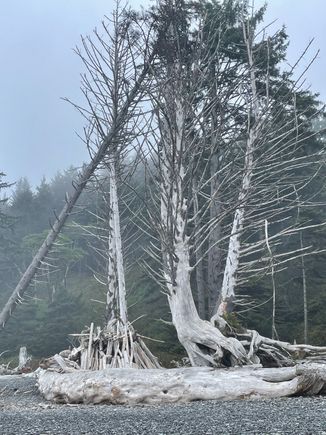 Man made on the left, nature made on the right