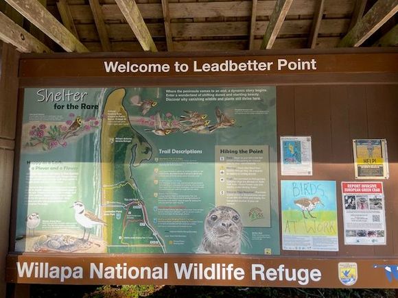 Leadbetter Point is the furthest point on the Peninsula