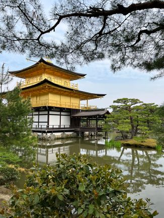 Have seen Kinkaku-ji in photos so many times but it's still stunning to see in person 