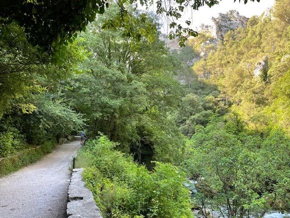 Lush valley 