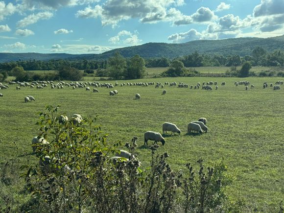 More typical Romanian countryside in Transylvania 