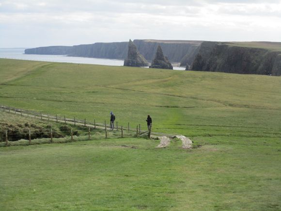 Walking to the stacks from the parking lot