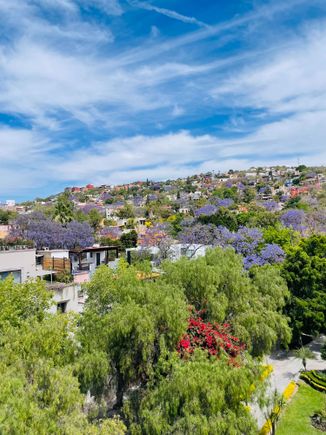 So hilly and pretty. 