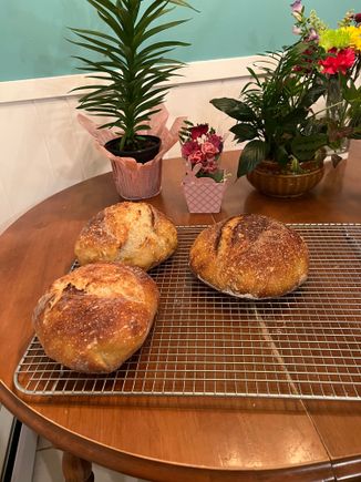 I baked some sour dough for sandwiches on the trip before we left.