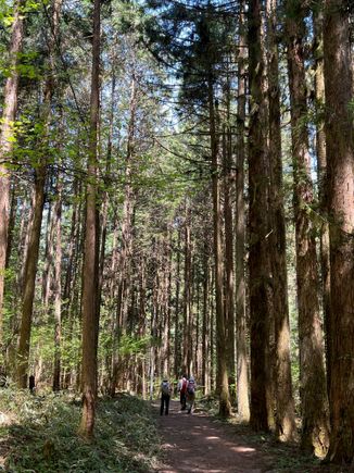 Hiking the Nakasendo Way