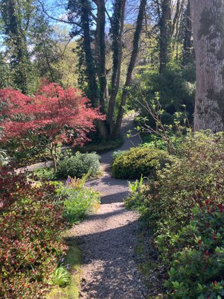 Plas Cadnant - valley garden