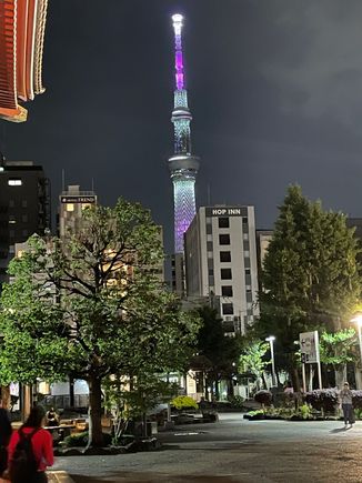 Tokyo Tower from the temple grounds