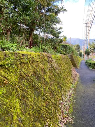Walking along the road 