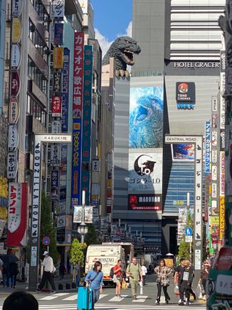 The infamous Godzilla!