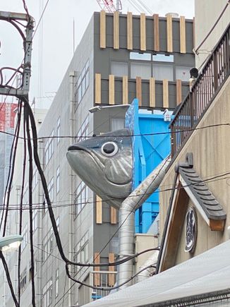 The fish market, where else?