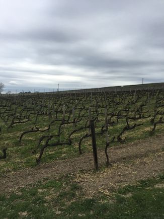 Clos St Hilaire at Billecart Salmon