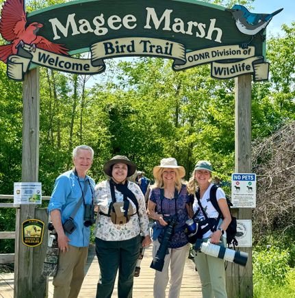 The famous boardwalk, where the colorful warblers are often at eye level and in close range (ridiculously rare everywhere else) before crossing Lake Erie. The locals say the bird quantity has been down the last two years, but compared to a slow migration season in St. Louis, it was heavenly! Photos, of course, to eventually show up on the bird thread.