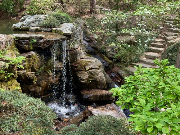 Got in 13,000 steps in a little less than three hours walking all kinds of trails.