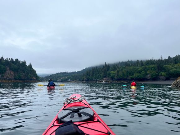 Heading into Halibut Cove