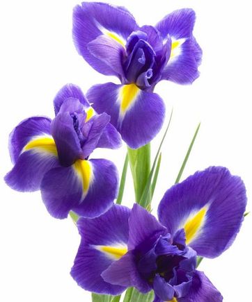 Wishing You Both the most Happiest Anniversary Yet.