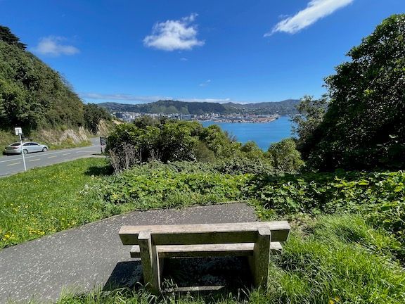 Now on the way back down - this was the spot where the resident across the street summoned us and asked us to help him lift something