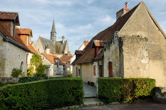 Impasse (blind alley) de Nicolas Potocki with St. Roch church behind. *Shutterbugs DO NOT miss this corner up on the trail leading to the chateau. The views there are 360 degree excellent. In all directions. Our third image at the very start of this TR (i.e. vertical view with red vine and old buildings) was taken immediately to the right here.
*Next: The Senses--ways of knowing the Loire.