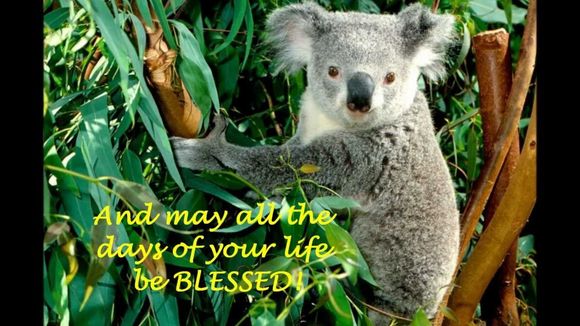 And  a Happy Birthday Mate !!