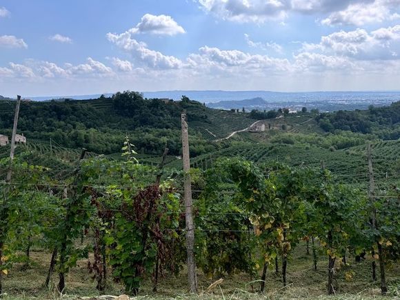 Asolo is about 20 minutes from Valdobbiadene, the heart of the Prosecco region