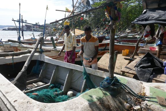 Fishing boats