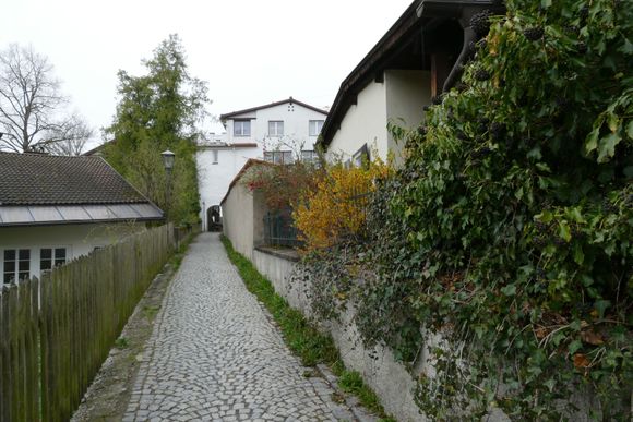 Quaint walkway
