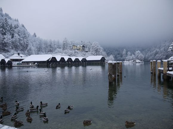 Königssee