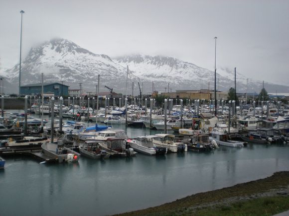 Valdez