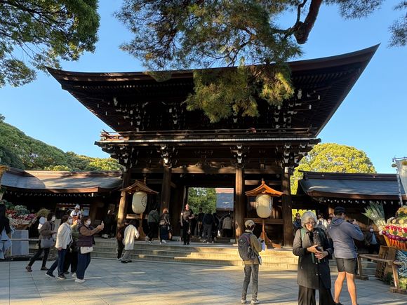 Meiji Jingu Shrine, Tokyo. Near Harajuku Station but in a forested area seemingly miles away. 