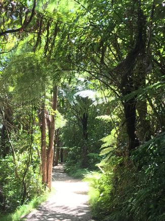 Love the archway/bushwalk