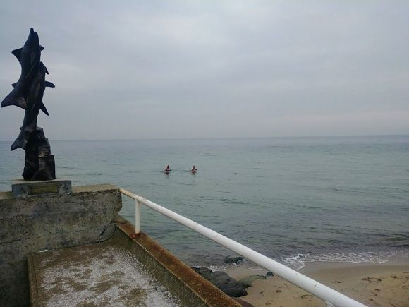 "Morsy" or Walruses.
 A popular pastime, winter swim in the Baltic.