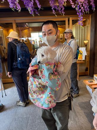 This dog has her own kimono.