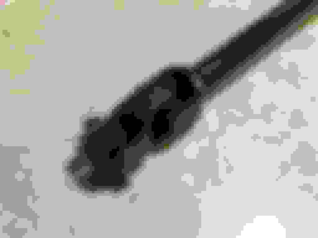 1983 F250 Steering shaft Ford Truck Enthusiasts Forums