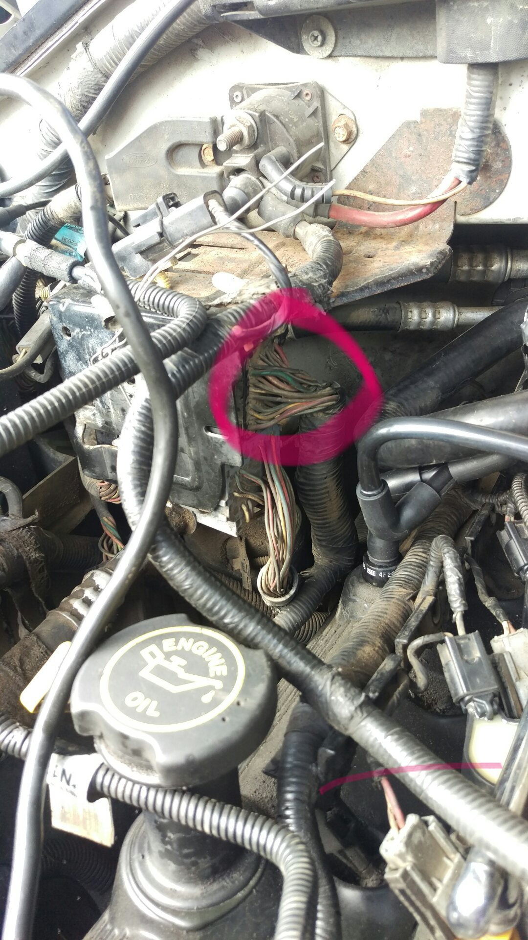 99 5.4 ford engine serial number location