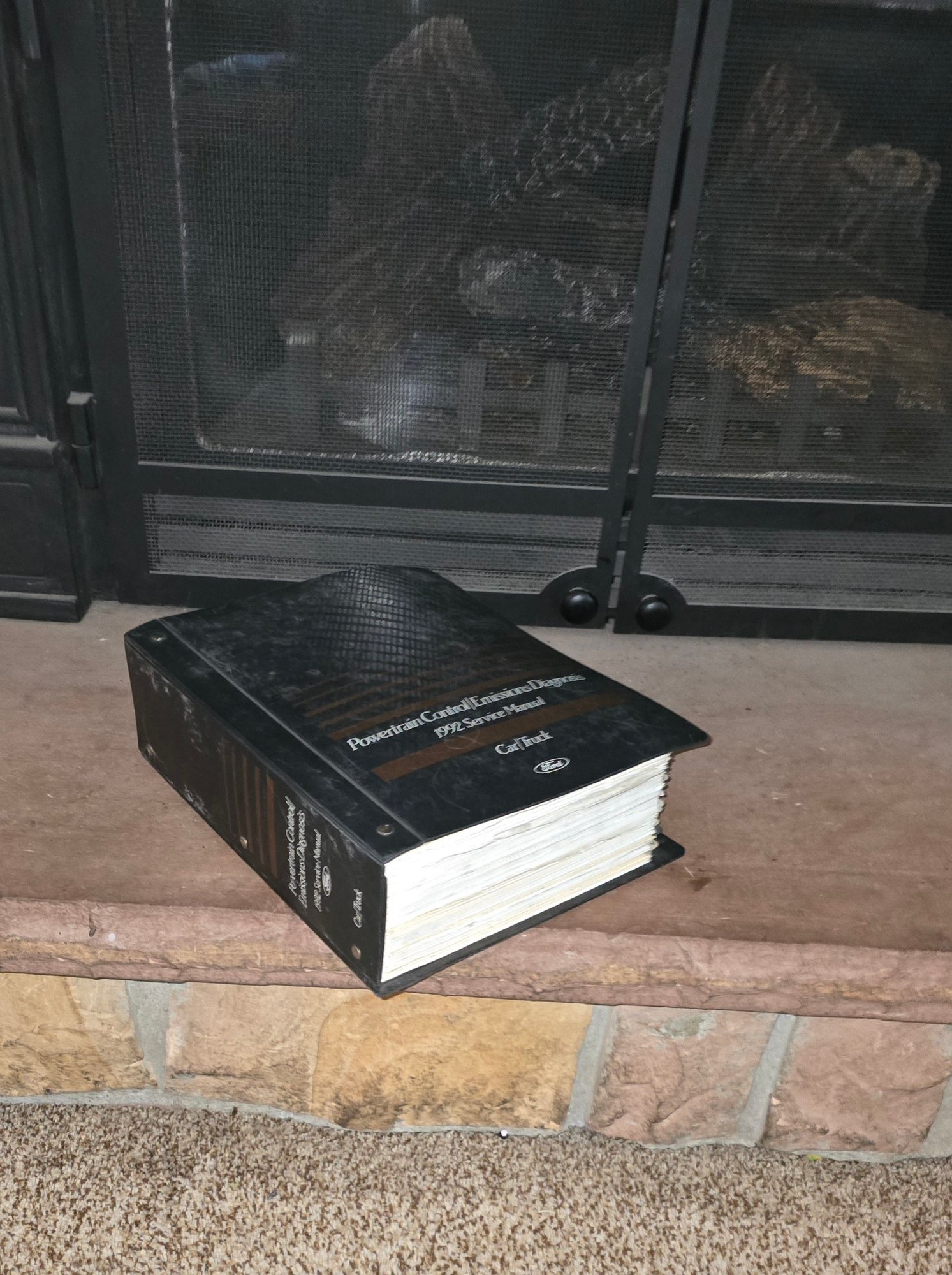 BIG thick book