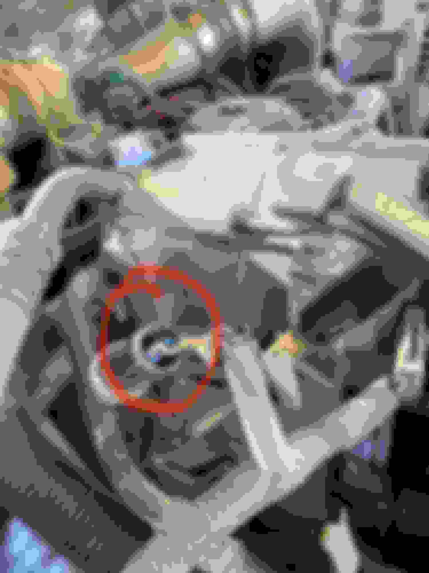 Pigtail ID Ford Truck Enthusiasts Forums