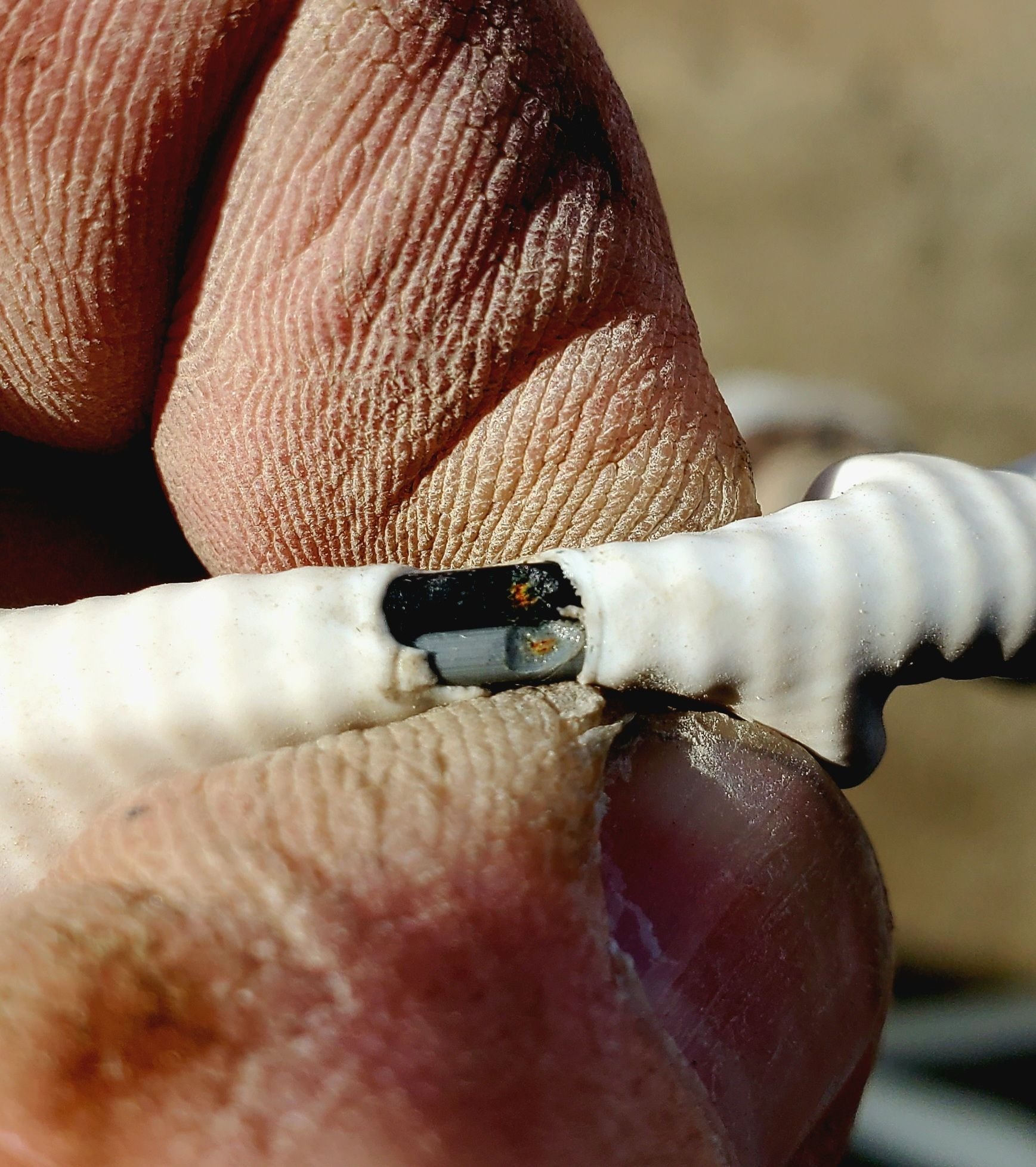 6.7L DTC P24AFC Ford Truck Enthusiasts Forums