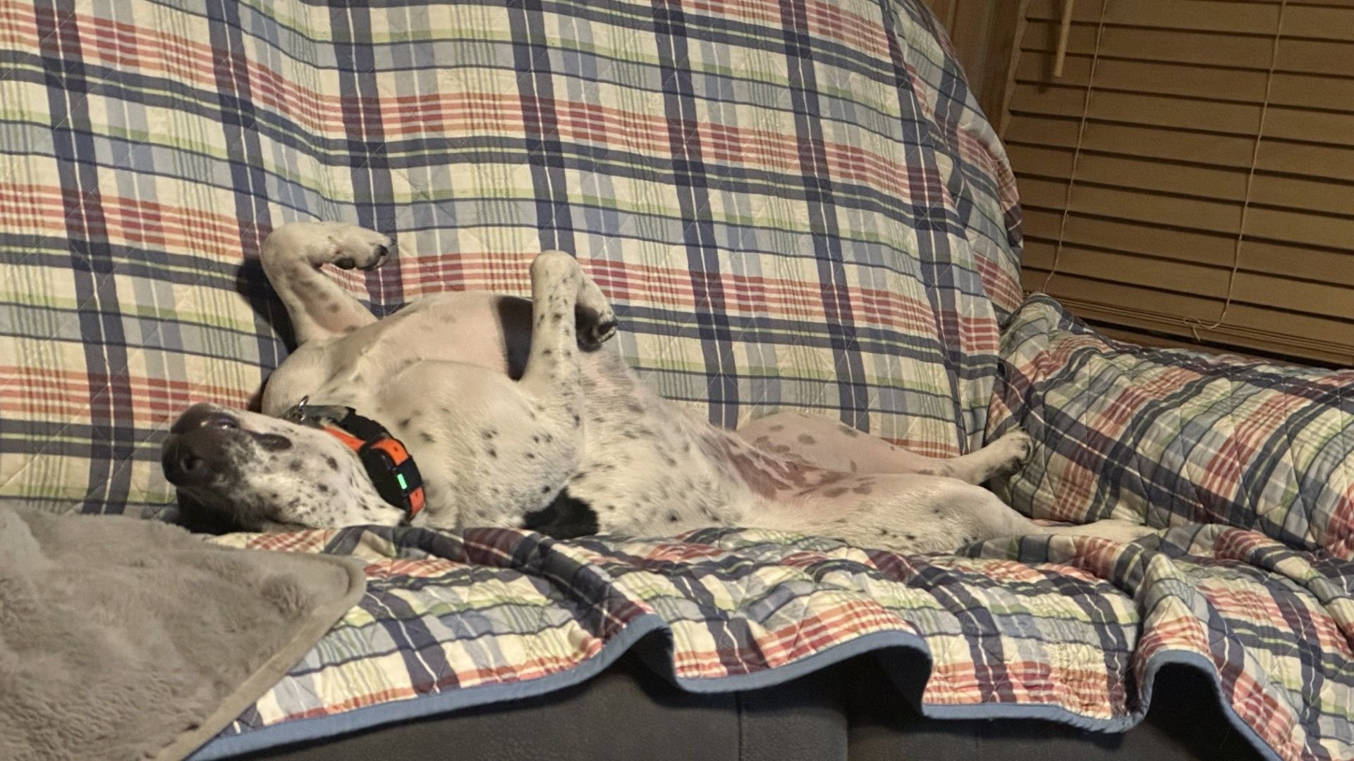 It was a terribly rough day protecting mom and dad from all those timber tigers, lions and bears....