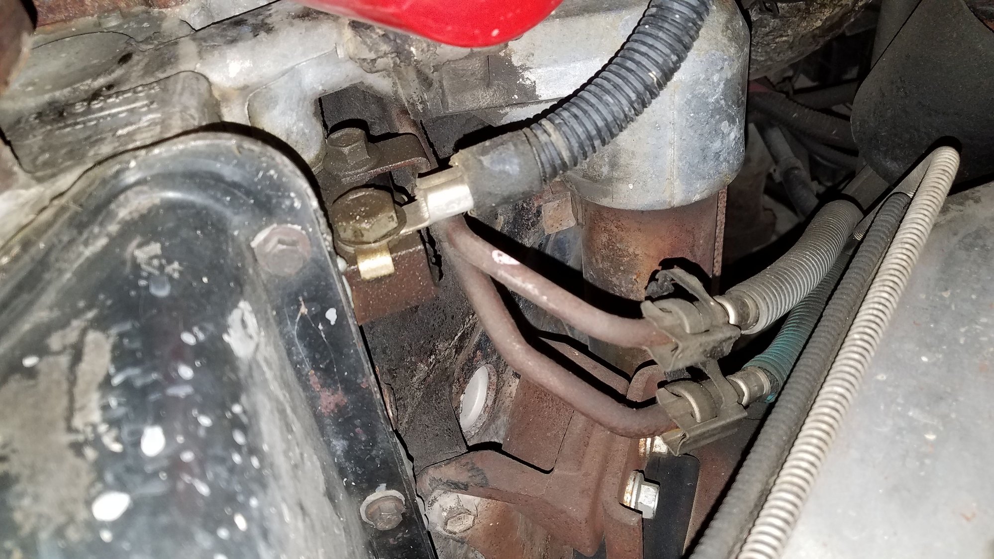 Help with oil leak Page 2 Ford Truck Enthusiasts Forums