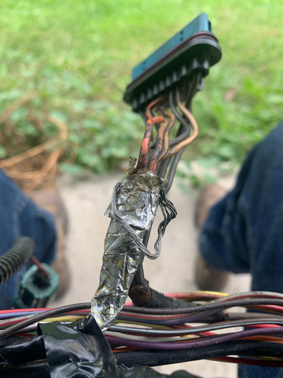 Wiring harness Ford Truck Enthusiasts Forums