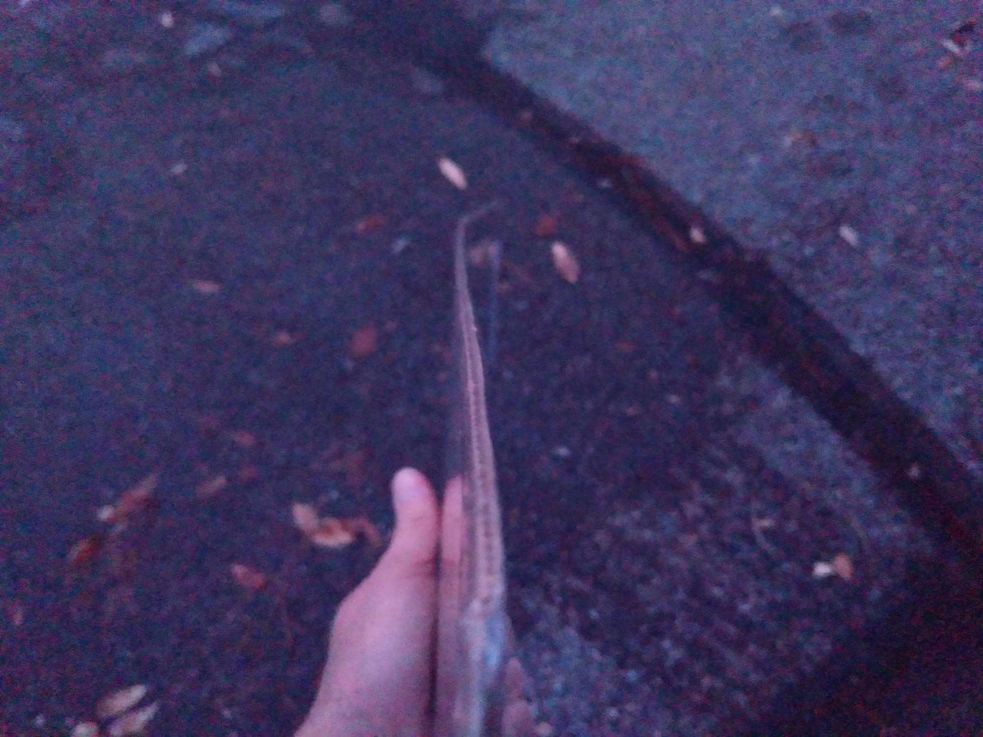 Is new head gasket too bent? Ford Truck Enthusiasts Forums