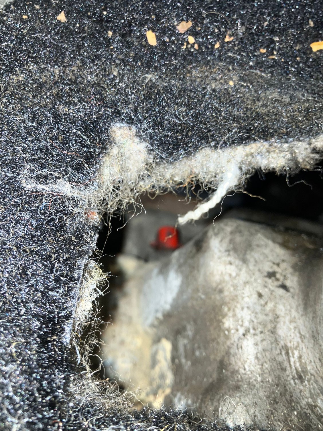 Reverse switch 