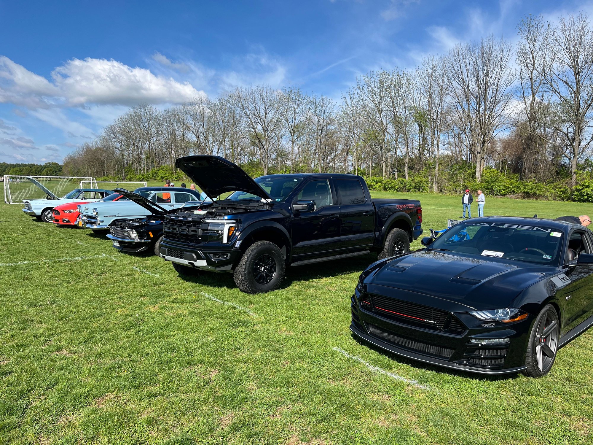 Line of Fords at car show.