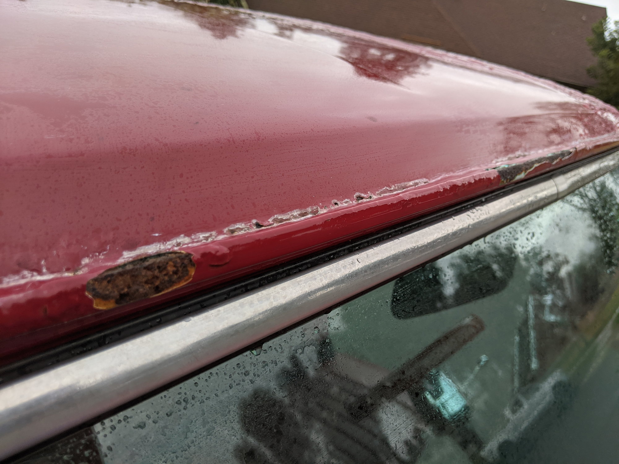 How bad is my rust? - Ford Truck Enthusiasts Forums