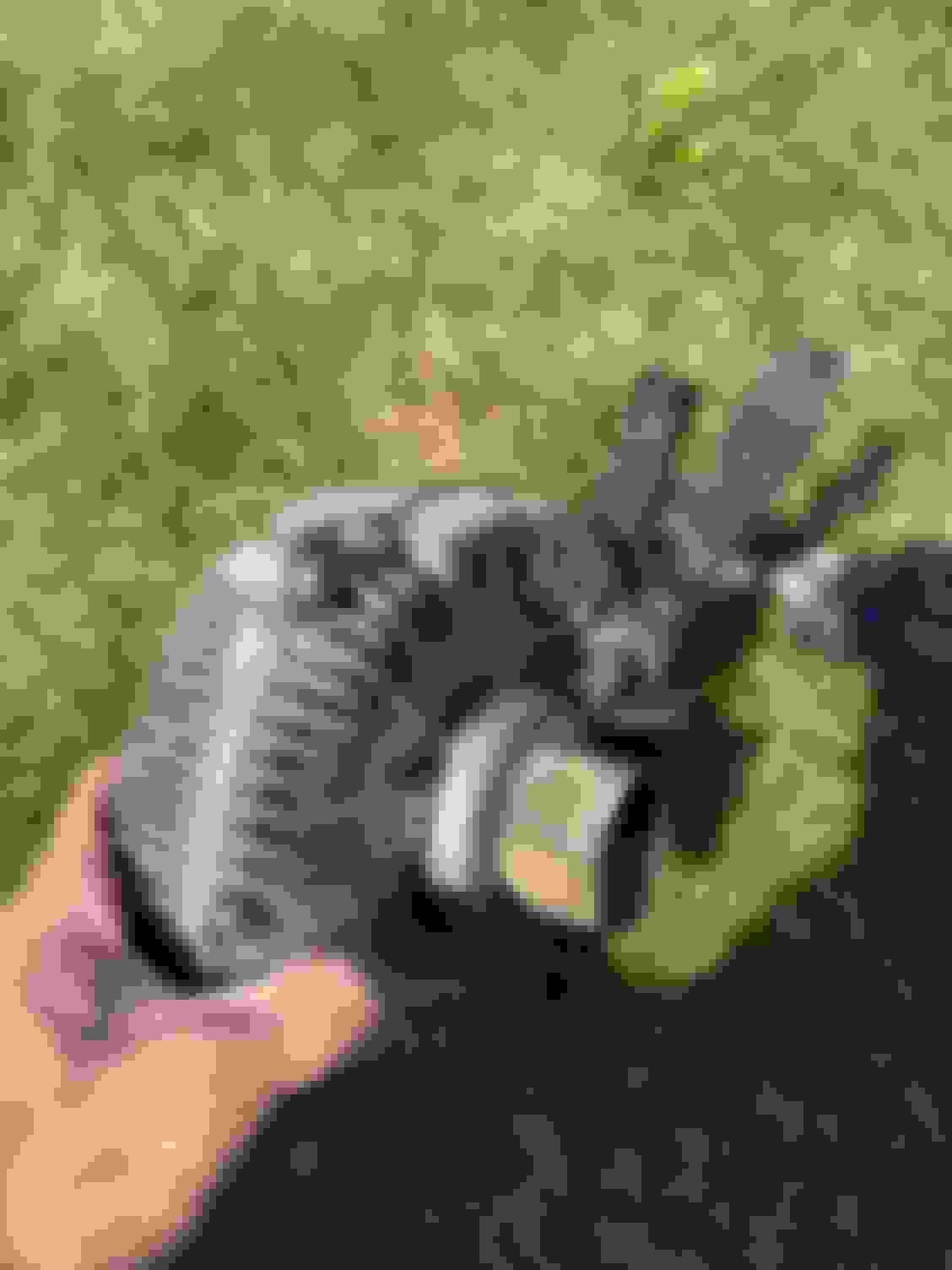 6.7PS Poor MPG bc Stuck Fan Clutch? Ford Truck Enthusiasts Forums